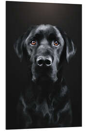 Magnettafel schwarzer Labrador