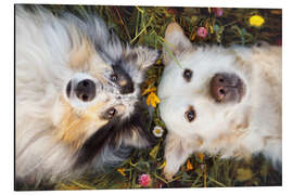 Magnettafel Perspektivwechsel