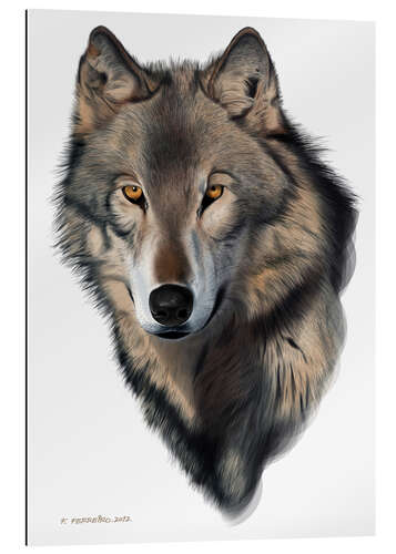 Gallery print Wolf