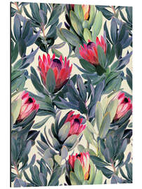 Aluminium print Painted Proteas