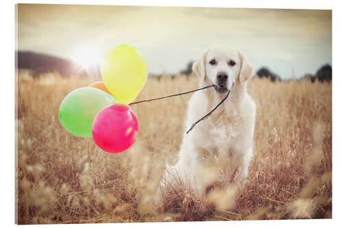 Akrylbillede balloon wind strength test