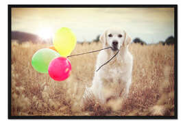 Gerahmter Kunstdruck Luftballon Windstärke Test