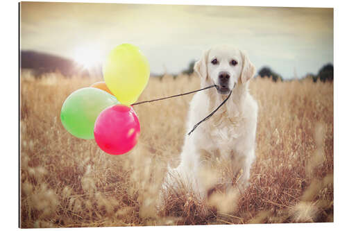 Gallery print balloon wind strength test