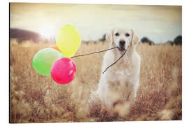 Magnettafel Luftballon Windstärke Test