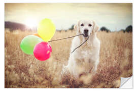 Wall sticker balloon wind strength test