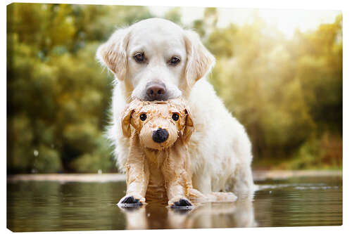 Lienzo swimming lesson