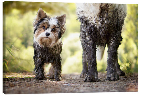 Canvas print true friendship