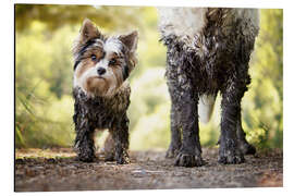 Magnettafel Echte Freundschaft