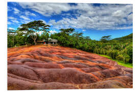 Foam board print Seven-colored earth in Mauritius