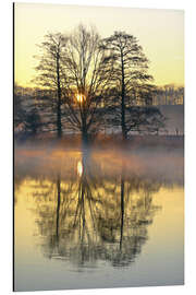 Alubild Bäume, Flussnebel und Sonnenaufgang