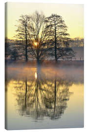 Stampa su tela Trees, river fog and sunrise