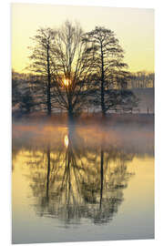 Foam board print Trees, river fog and sunrise