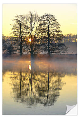 Selvklebende plakat Trees, river fog and sunrise