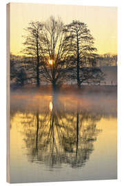 Tableau en bois Trees, river fog and sunrise