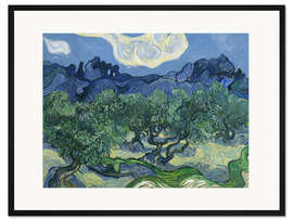Gerahmter Kunstdruck Olivenbäume mit den Alpen im Hintergrund