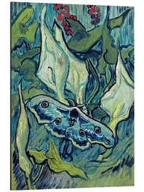 Magnettafel Totenkopf-Motte