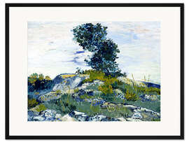 Gerahmter Kunstdruck Felshügel mit Eiche