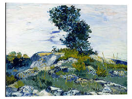 Magnettafel Felshügel mit Eiche