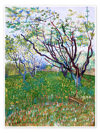 Póster  Orchard in Bloom - Vincent van Gogh