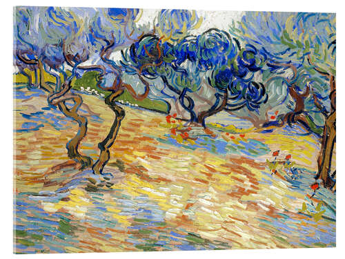 Acrylic print Olive Trees II