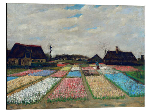 Aluminiumsbilde Bulb Fields in Holland, 1883