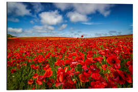 Magnettafel Mohnfeld