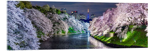 Acrylic print Chidorigafuchi in Tokyo Japan in spring with cherry blossom