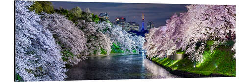 Tableau en aluminium Chidorigafuchi à Tokyo au Japon au printemps avec des cerisiers en fleurs