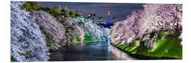 Cuadro de PVC Chidorigafuchi in Tokyo Japan in spring with cherry blossom