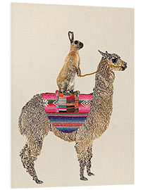 Stampa su PVC Alpaca with hare