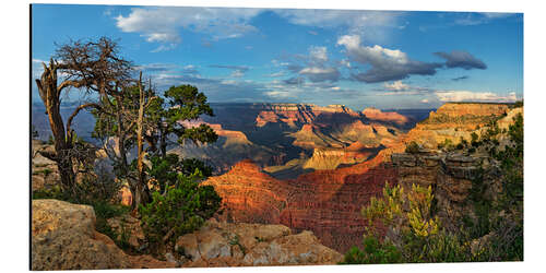 Aluminium print Grand Canyon with knotty pine