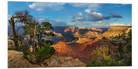 Foam board print Grand Canyon with knotty pine