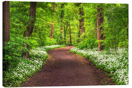 Leinwandbild Weg durch Wald voller Bärlauch im Frühling