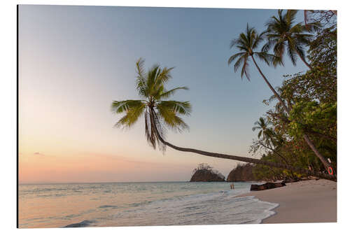 Aluminium print Palm tree and exotic sandy beach at sunset, Costa Rica