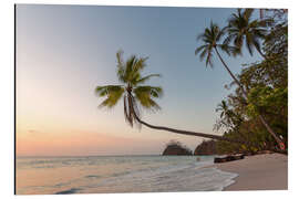 Aluminium print Palm tree and exotic sandy beach at sunset, Costa Rica