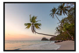 Gerahmter Kunstdruck Palme und exotischen Sandstrand bei Sonnenuntergang, Costa Rica