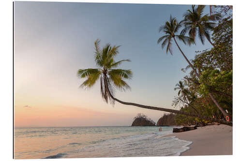 Tableau en plexi-alu Palmiers et plage de sable fin au coucher du soleil, Costa Rica