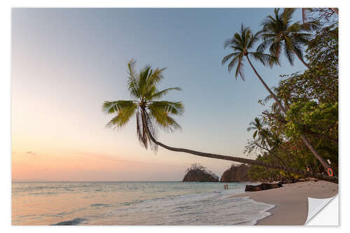 Naklejka na ścianę Palm tree and exotic sandy beach at sunset, Costa Rica