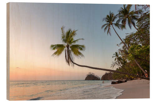 Puutaulu Palm tree and exotic sandy beach at sunset, Costa Rica