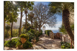 Magnettafel Im Garten Son Marroig (Mallorca)