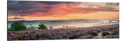 Aluminiumtavla Panorama perfect sunrise heath