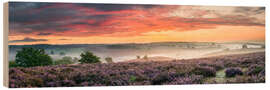 Hout print Panorama perfect sunrise heath