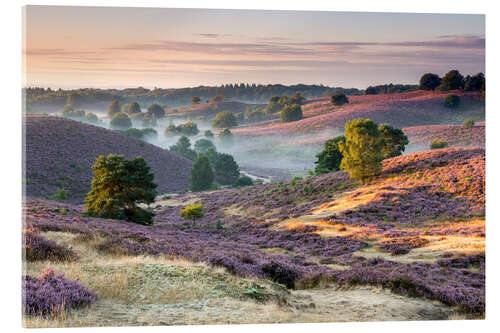 Akrylbilde Sunrise over mist and heath