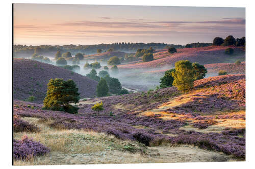 Aluminium print Sunrise over mist and heath