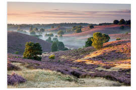 Foam board print Sunrise over mist and heath