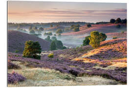 Gallery print Sunrise over mist and heath