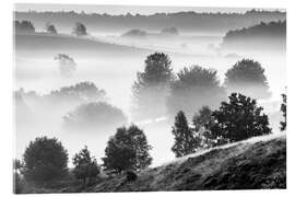 Acrylic print Misty Dutch Hillls