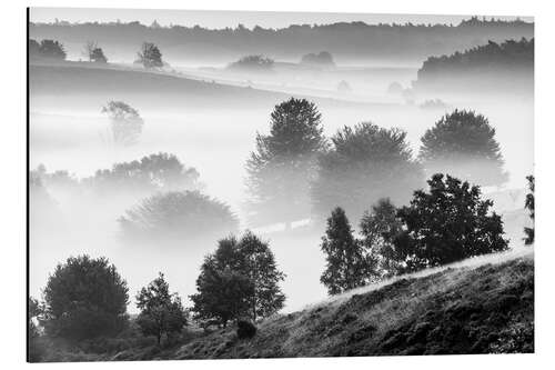 Aluminium print Misty Dutch Hillls