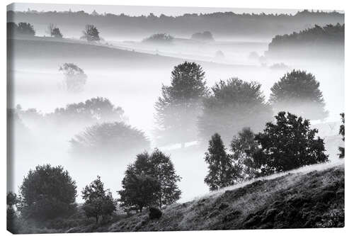 Tableau sur toile Misty Dutch Hillls