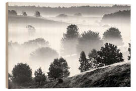 Wood print Misty Dutch Hillls